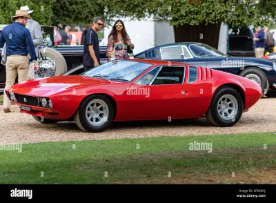 Mangusta